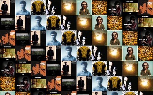 Relevantes 2011